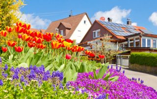 Why Spring is the Best Time to Go Solar