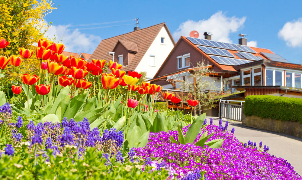 Why Spring is the Best Time to Go Solar