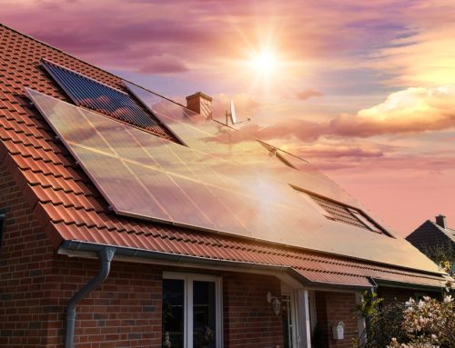 The Top Environmental Benefits of Solar