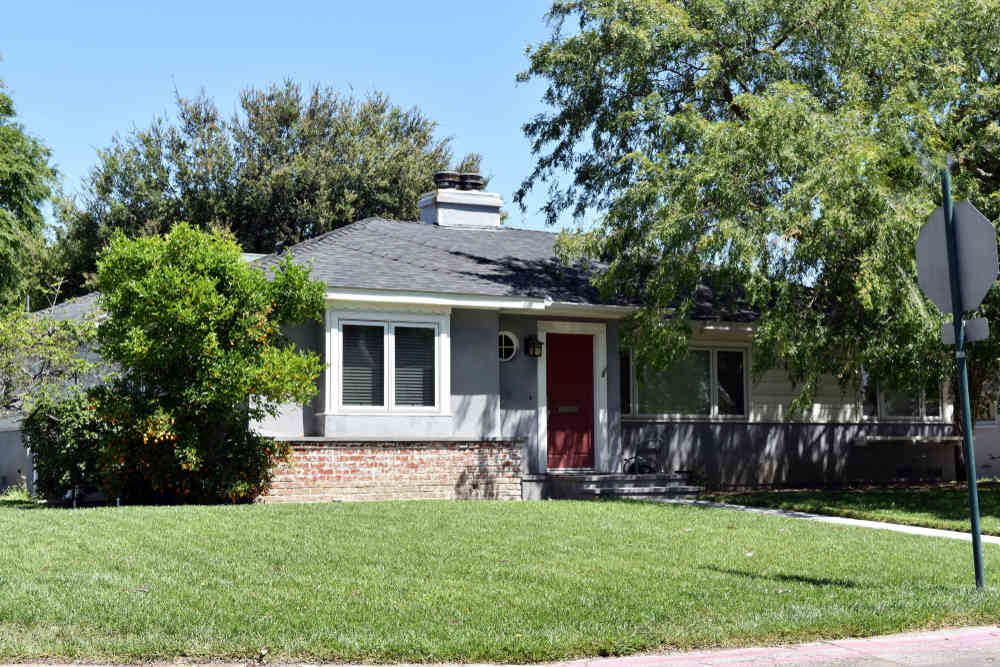 Tree-shading-roof-of-a-home